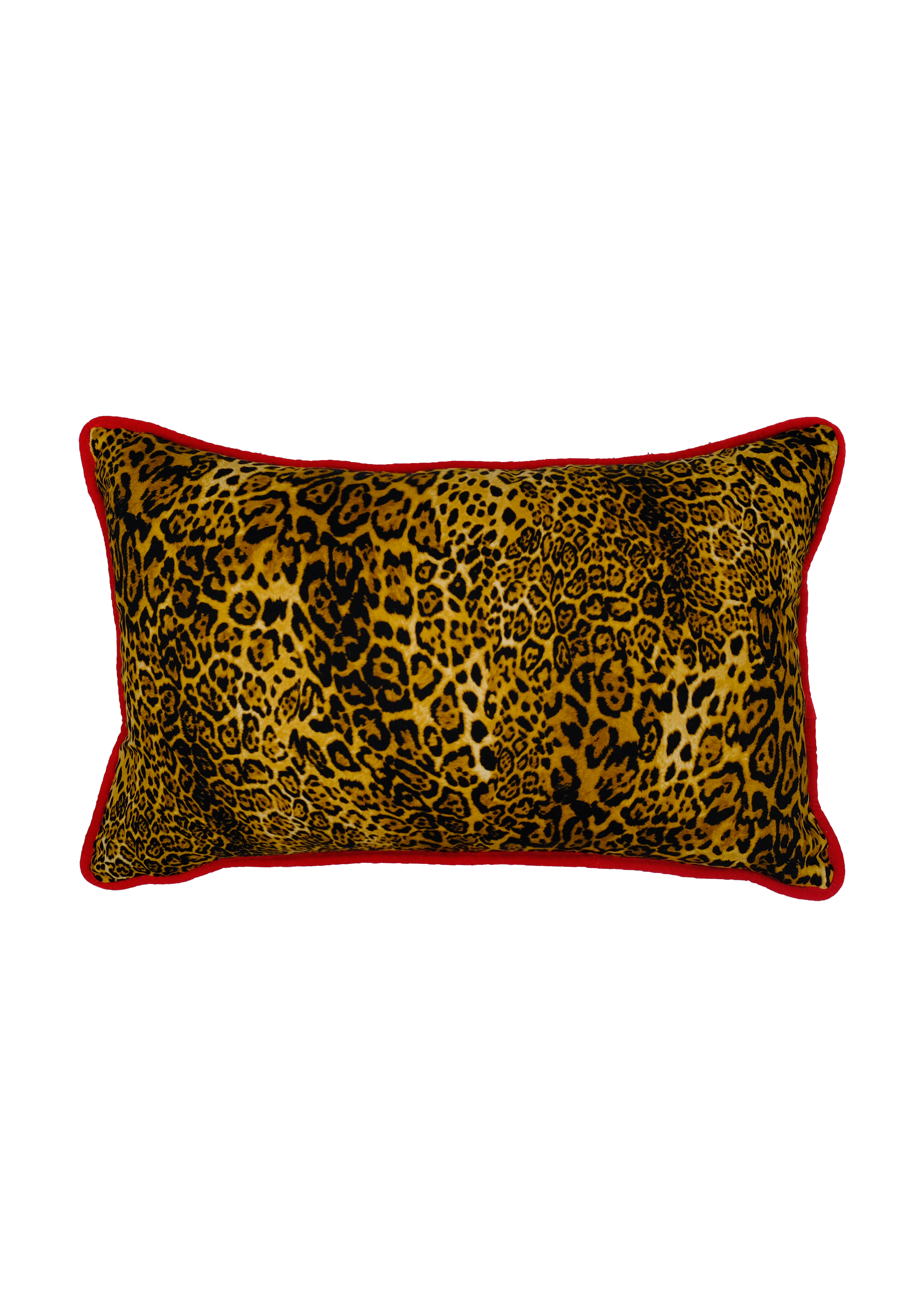 Feline Fine Cushion